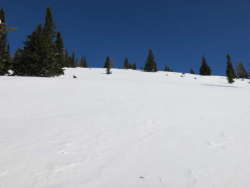 Buchbergkogel